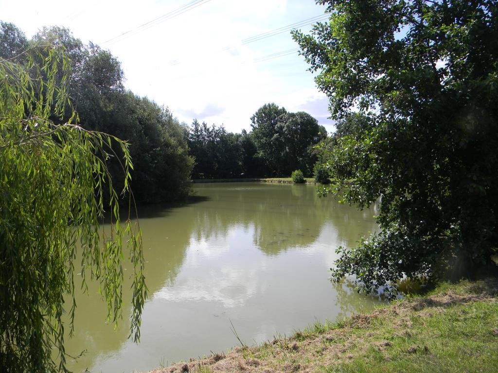 Domaine Des Mille Oiseaux Vila Villiers-Charlemagne Exterior foto